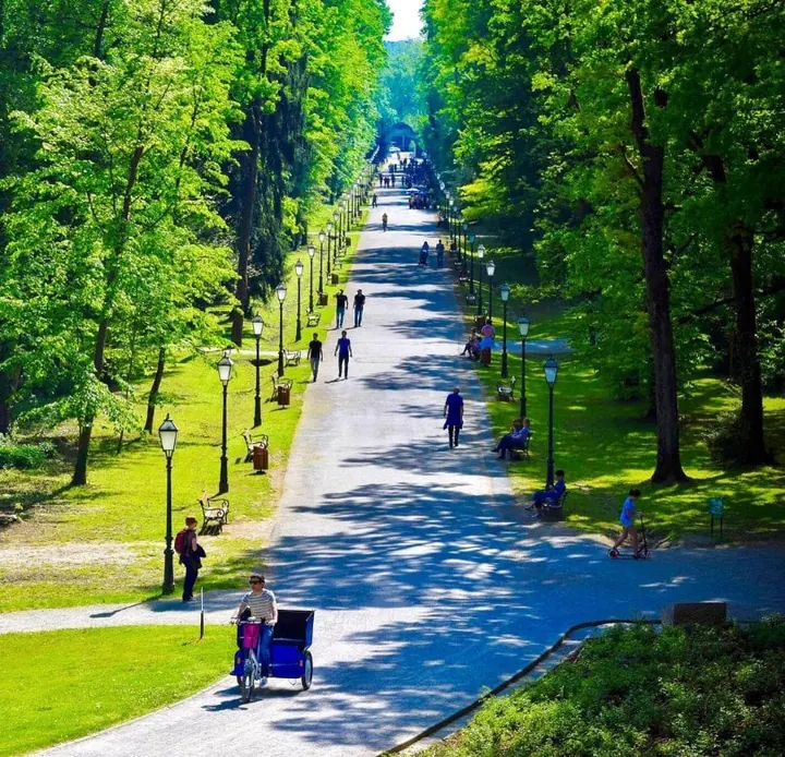 Bubimirzg