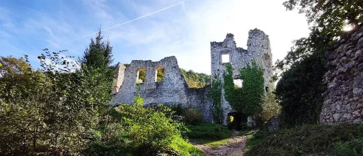 Top Things to See & Do in Samobor