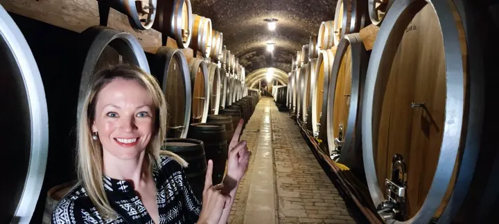 Ilok: Where History and Wine Come Together - My Enchanting Journey
