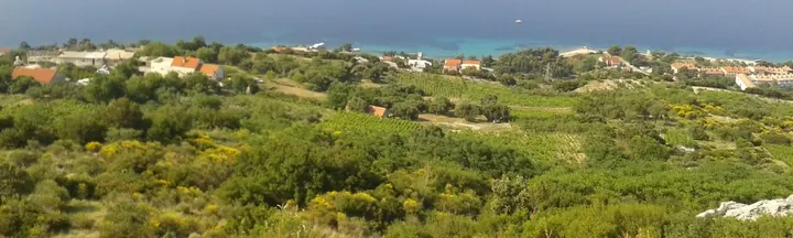 Kocje reserve 1