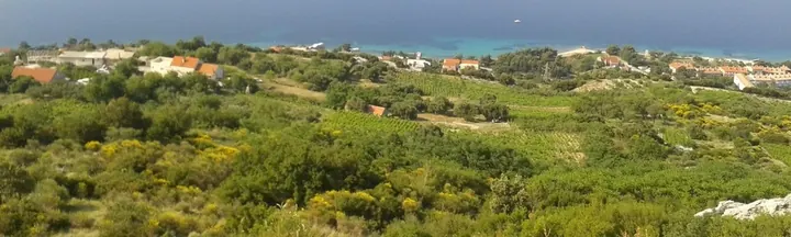 Kocje Nature Reserve, Korcula Island