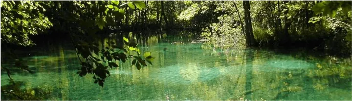 Velebit's Krupa River