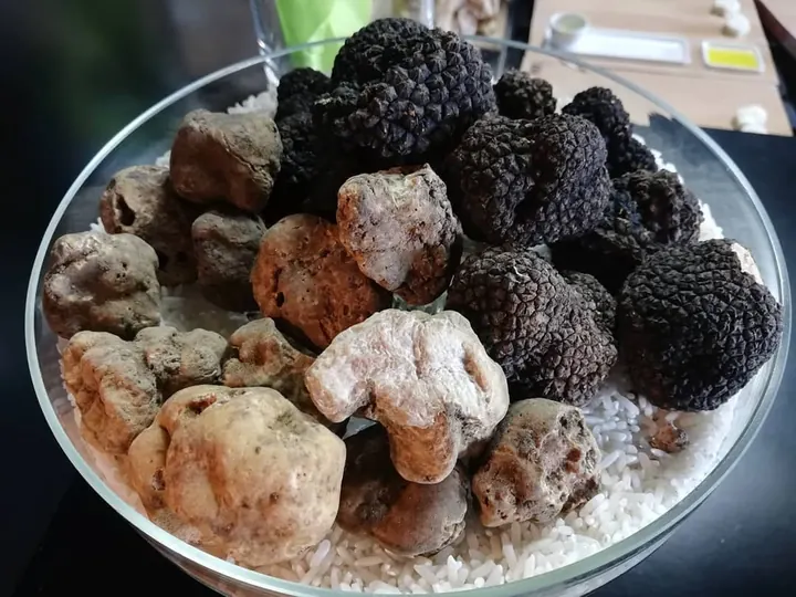Mmajdis