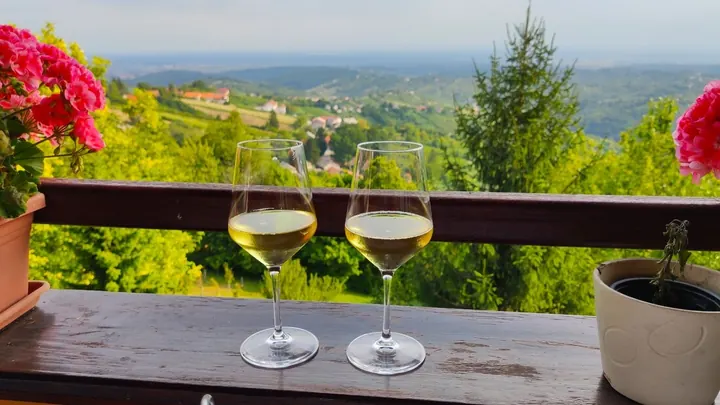 Our Insider’s Guide to Wineries & Wine Tasting Near Zagreb