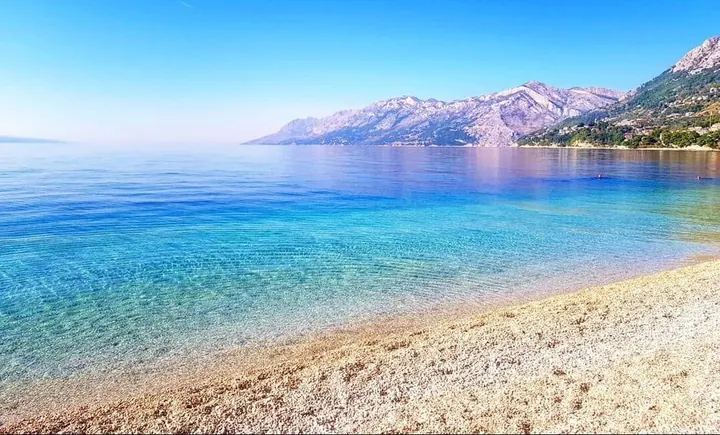 Punta rata brela