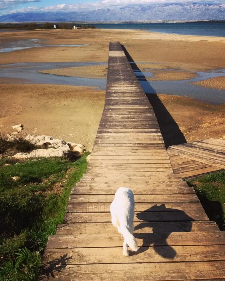 Queen beach nin