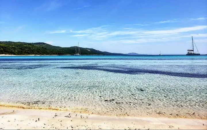 Sakarun beach
