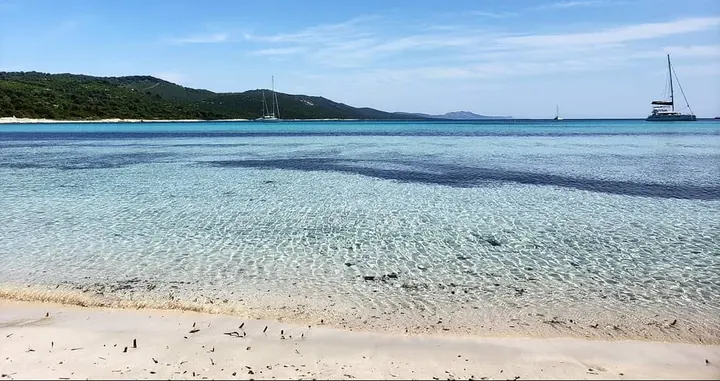 Sakarun beach 86f24