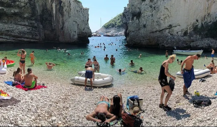 Vis stiniva