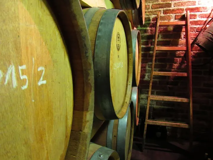 Vuglec breg wine cellar