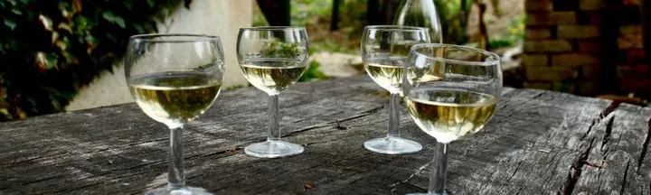 Wine tasting hvar 1